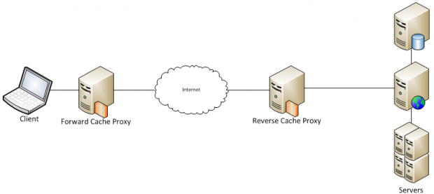 forward cache proxy between client and internet, and reverse cache proxy between internet and server