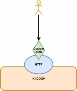 diagram showing a user interfacing with Hadoop via a custom authentication mechanism