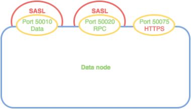 Figure 7 diagram of a Datanode supporting privacy on all its ports